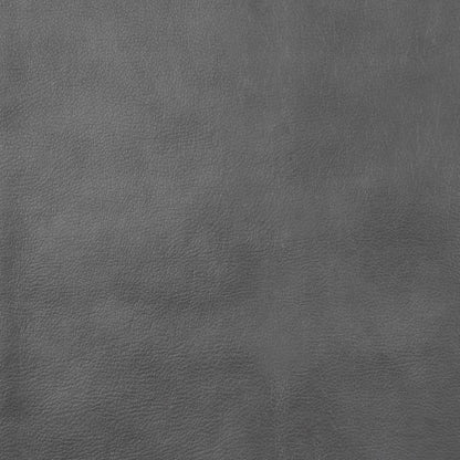 Conrad - Upholstered Padded Arm Motion Sofa Set